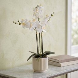 Candlelight White 74.4Cm Orchid Pot With Artificial Plant In Black Plastic Pot
