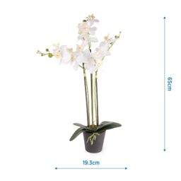 Candlelight White 74.4Cm Orchid Pot With Artificial Plant In Black Plastic Pot - thumbnail 5