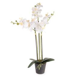 Candlelight White 74.4Cm Orchid Pot With Artificial Plant In Black Plastic Pot - thumbnail 2