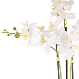 Candlelight White 74.4Cm Orchid Pot With Artificial Plant In Black Plastic Pot - thumbnail 4
