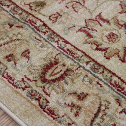 Traditional Floral Graphics Cotton Backing Easy To Clean Rug For Living Room Bedroom And Dining Room-200Cm X 300Cm - thumbnail 3