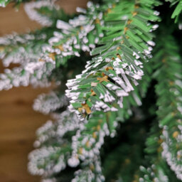 Samuel Alexander 6.5Ft (2M) Premier Pencil Style Slim Snow Tipped Green Christmas Tree - thumbnail 6