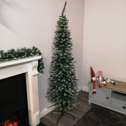 Samuel Alexander 6.5Ft (2M) Premier Pencil Style Slim Snow Tipped Green Christmas Tree - thumbnail 1