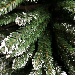 Samuel Alexander 6.5Ft (2M) Premier Pencil Style Slim Snow Tipped Green Christmas Tree - thumbnail 4