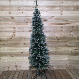 Samuel Alexander 6.5Ft (2M) Premier Pencil Style Slim Snow Tipped Green Christmas Tree - thumbnail 2