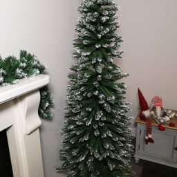 Samuel Alexander 6.5Ft (2M) Premier Pencil Style Slim Snow Tipped Green Christmas Tree - thumbnail 3