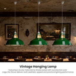 Metal Pendant Light Shade With Protective Cage, 31.5Cm Green Glass Suspension Lamp Shade For Kitchen Island And Loft Lighting - thumbnail 9