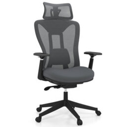Gainoom Ergonomic Mesh Office Grey Chair High Back Executive Chair W/ Headrest - thumbnail 1