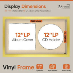 "30X17"" Gold Modern Vinyl Record Frame With Ivory Mount For 12 Inch Lp Album Cover & Disc - Ak Frames" - thumbnail 2