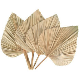 4 Pack Dried Palm Leaves Fans Bohemian Spears Artificial Plants Leaves - thumbnail 4