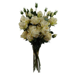 Leaf 6 X 60Cm Cream Rose Artificial Flower Sprays - 24 Flowers 18 Buds