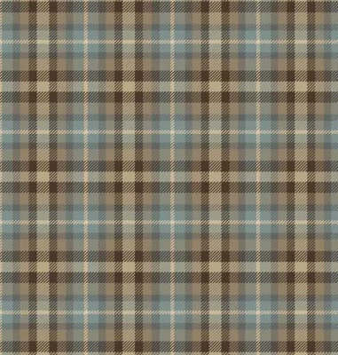 Chepstow Court Commercial Woven Carpet By Remland (Blue & Brown Tartan, 2M X 4M) - image 1