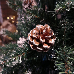 Samuel Alexander 6Ft (180Cm) Rocky Mountain Pine Green Artificial Christmas Tree Snow Tip And Pine Cones - thumbnail 8
