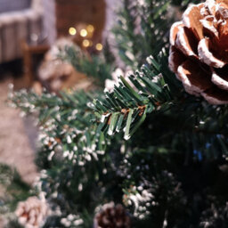 Samuel Alexander 6Ft (180Cm) Rocky Mountain Pine Green Artificial Christmas Tree Snow Tip And Pine Cones - thumbnail 7