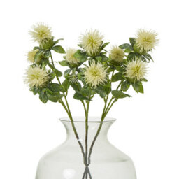 Wyld Haus Set Of 3 Cream Safflower Artificial Flower Sprays 57Cm - thumbnail 3