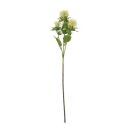 Wyld Haus Set Of 3 Cream Safflower Artificial Flower Sprays 57Cm - thumbnail 1