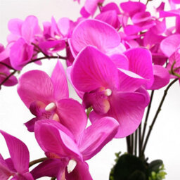 Leaf 85Cm Artificial Deluxe Bush Orchid - Dark Pink With Black Pot - thumbnail 3