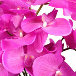 Leaf 85Cm Artificial Deluxe Bush Orchid - Dark Pink With Black Pot - thumbnail 2