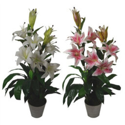 Leaf 90Cm (3Ft) Artificial Lily Stargazer Style Lillies Plant Large Flowers Pink - thumbnail 4