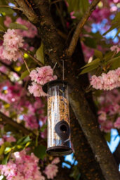 Nature's Market Wild Bird Hammertone Seed Feeder Bf040 - thumbnail 5