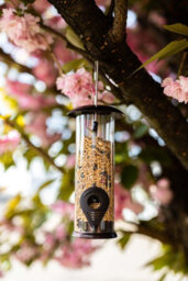 Nature's Market Wild Bird Hammertone Seed Feeder Bf040 - thumbnail 6