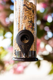 Nature's Market Wild Bird Hammertone Seed Feeder Bf040 - thumbnail 4