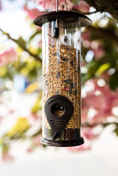 Nature's Market Wild Bird Hammertone Seed Feeder Bf040 - thumbnail 3