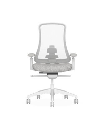 Flexispot Ergonomic Chair With Aesthetics And Craftsmanship Sheer White On Grey - image 1