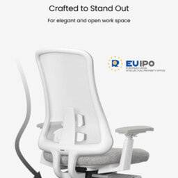 Flexispot Ergonomic Chair With Aesthetics And Craftsmanship Sheer White On Grey - thumbnail 3
