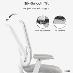 Flexispot Ergonomic Chair With Aesthetics And Craftsmanship Sheer White On Grey - thumbnail 4
