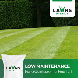Lawns Direct™ Prograss™ 6Kg Professional Low Maintenance Fine Turf Grass Seed Mix Covers 172-300M² - thumbnail 6