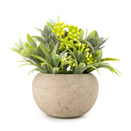 Candlelight 13.5Cm Herb Pot With Artificial Plant In Pale Grey Ceramic Pot - thumbnail 1