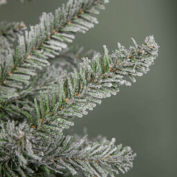 Samuel Alexander 8Ft (2.4M) Snowy Green & White Everlands Liberty Spruce Christmas Tree With Metal Stand - thumbnail 5