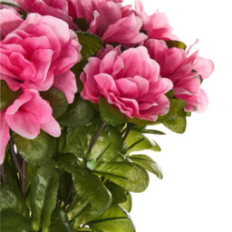 Beliani Artificial Plant Novella 36 Cm Pink - thumbnail 4