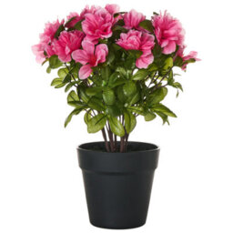 Beliani Artificial Plant Novella 36 Cm Pink