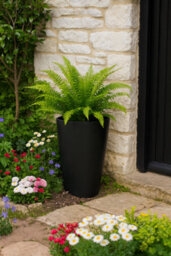 Fargro Home And Garden Vase Planter Charcoal Black Polystone Outdoor Tall Plant Pot 35Cm X 55Cm 37L Medium - thumbnail 3