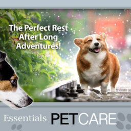 Crufts- Oxford Pet Mattress Pet Bed Large (Black) 91X68X10Cm. - thumbnail 6