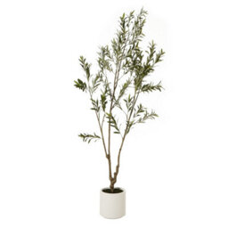 Wyld Haus 210Cm Artificial Olive Tree In White Ceramic Pot - thumbnail 3