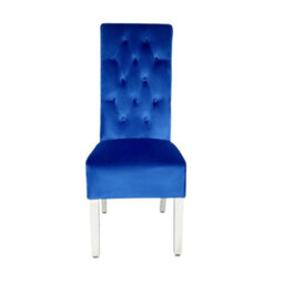 Home Luxe Interiors Pair Of Sofia Blue Dining Chair With Silver Legs And Lion Knocker - thumbnail 2