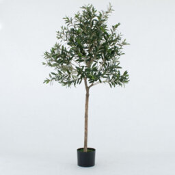 GreenBrokers Artificial Olive Tree With Real Wood Trunk, Premium Quality Natural Appearance, 5Ft/150 Cm - thumbnail 1