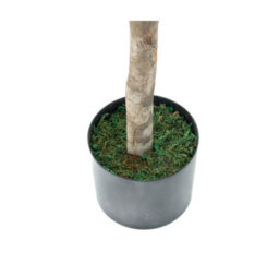 GreenBrokers Artificial Olive Tree With Real Wood Trunk, Premium Quality Natural Appearance, 5Ft/150 Cm - thumbnail 4