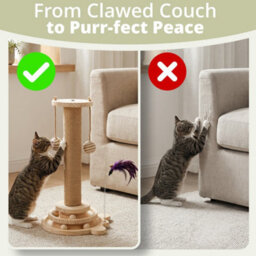 Daisy & Max Indoor Cat Scratching Post 45Cm, Tall Sisal Cat Scratcher With Sturdy Base & Hanging Toys, Durable Cat Toys - thumbnail 4