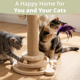 Daisy & Max Indoor Cat Scratching Post 45Cm, Tall Sisal Cat Scratcher With Sturdy Base & Hanging Toys, Durable Cat Toys - thumbnail 7