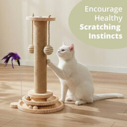 Daisy & Max Indoor Cat Scratching Post 45Cm, Tall Sisal Cat Scratcher With Sturdy Base & Hanging Toys, Durable Cat Toys - thumbnail 3