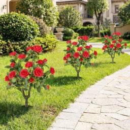 Gainoom 2 Pack Artificial Rose Flower Trees Fake Shrub Plants Sun-Proof Indoor & Outdoor Silk Floral Topiary Plants - thumbnail 5