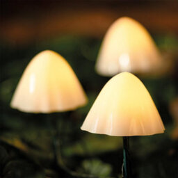 The Solar Centre Forest Xl Solar Mushroom Lights - Set Of 6 - thumbnail 1