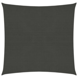 Berkfield Sunshade Sail 160 G/m2 Anthracite 5X5 M Hdpe - thumbnail 1