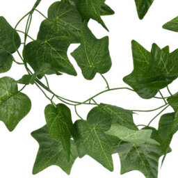 True Products Artificial Ivy Vine Hanging Garland - 235Cm - Pack Of 12 - thumbnail 2