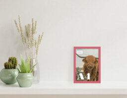 A4 Pink Picture Frame Fits A4 (21 X 29.7Cm - 8.3 X 11.7In) Poster, Photo, Artwork, Or Print. - thumbnail 4