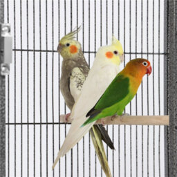 Yaheetech Black Stackable Wide Bird Cage Divided Breeder Cage With Rolling Stand - thumbnail 7